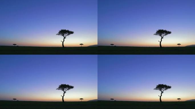 非洲肯尼亚马赛马拉国家公园黎明时的景观