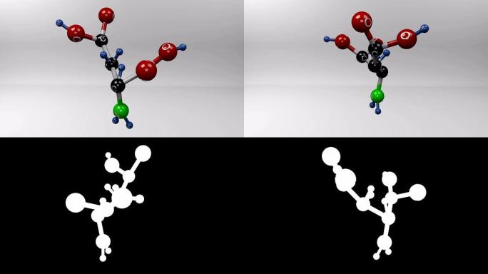 天冬氨酸分子。