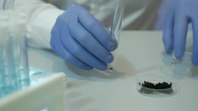实验室里的科学家通过分析土壤来收集DNA。在实验室进行科学研究的高级男性研究员。分析，dna，生物，
