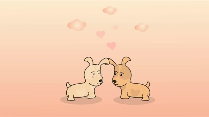 恋爱中的两只可爱的狗。情人节概念