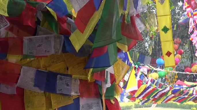 美丽的佛教祈福旗挂在尼泊尔蓝毗尼的树上