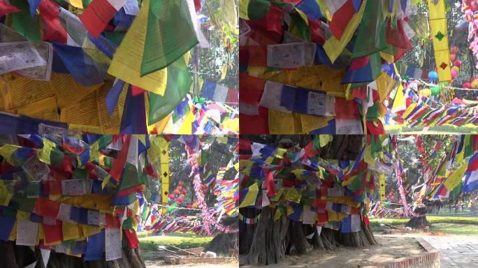 美丽的佛教祈福旗挂在尼泊尔蓝毗尼的树上