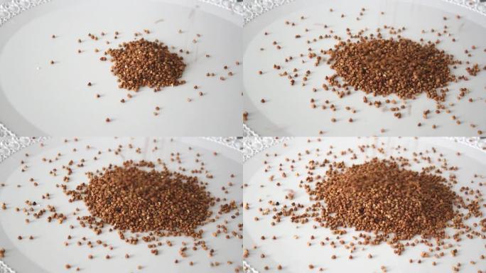 荞麦 (lat. Fagopyrum esculentum) 种子落在桌子上。维生素、矿物质和碳水化
