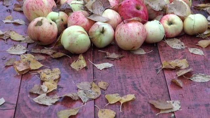 秋天的餐桌上的叶子和苹果