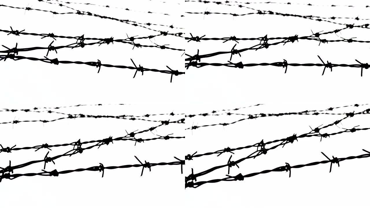 铁丝网-自由