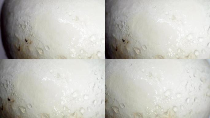 白色蘑菇头的微距镜头