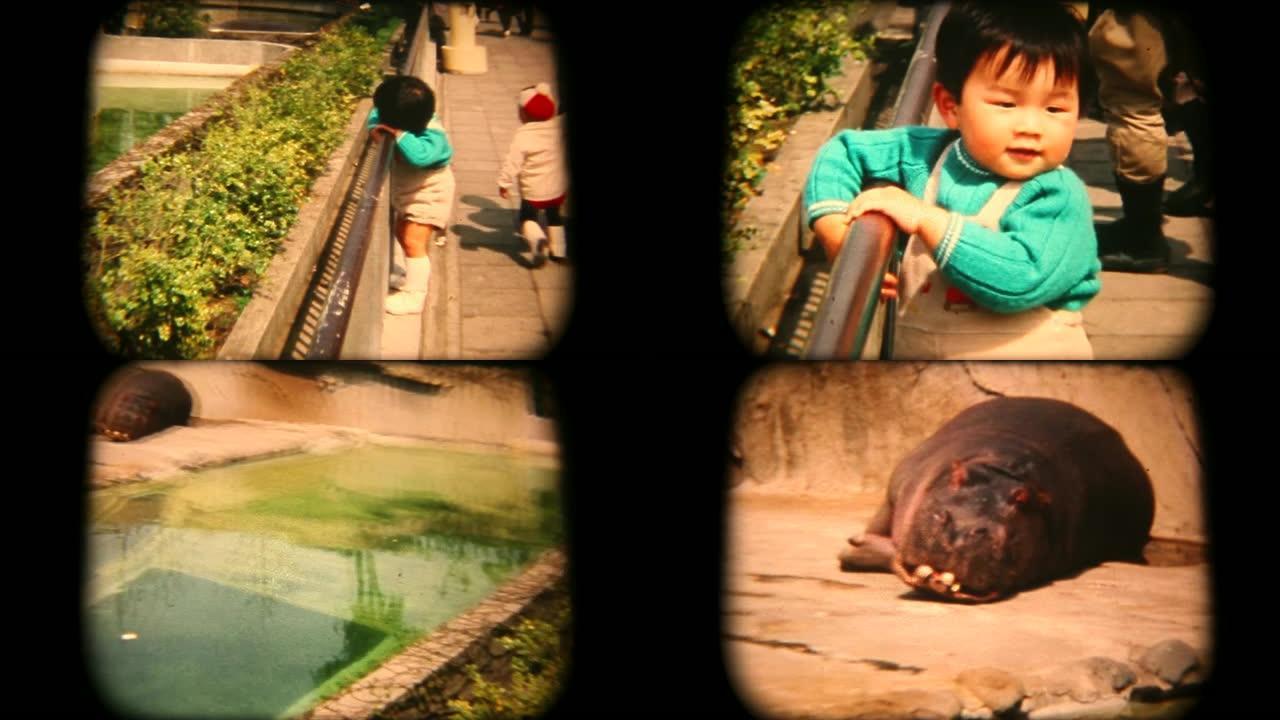 60年代8毫米的镜头-在动物园度过的一天