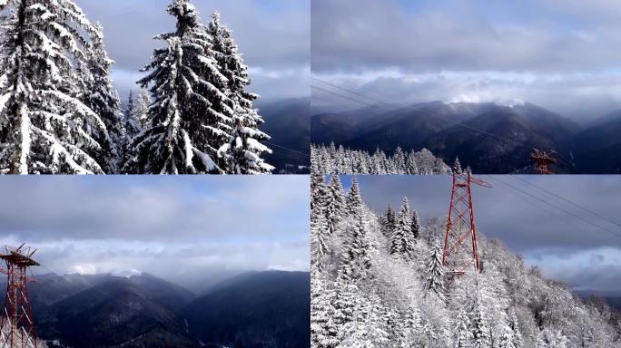 锡纳亚 (Sinaia) 的森林，积雪覆盖绿树的空中场景