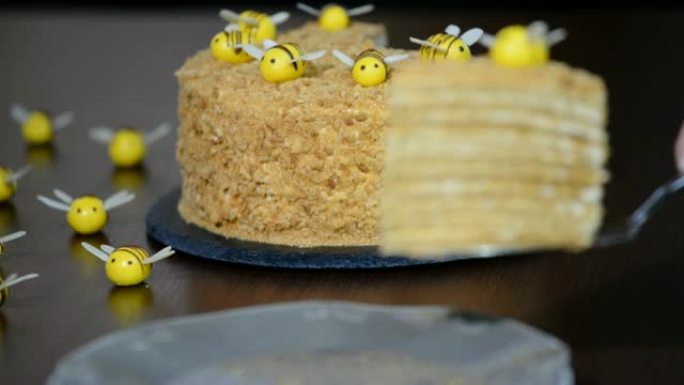 甜蜜的家分层蜂蜜蛋糕。把一块蜂蜜蛋糕放在盘子里。