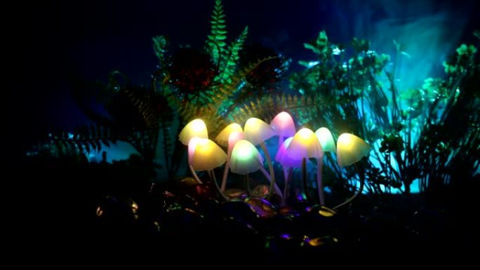 神秘黑暗森林中的幻想发光蘑菇特写。神奇蘑菇或灵魂迷失在阿凡达森林的美丽微距镜头。雾背景上的仙女灯。选
