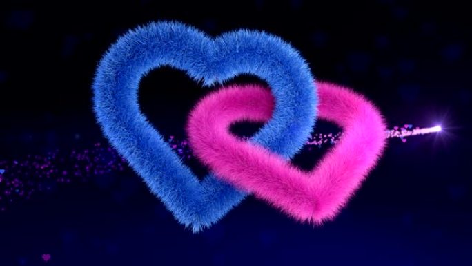蓝色和粉红色的性别毛绒心脏在神奇的背景上翱翔，无缝循环