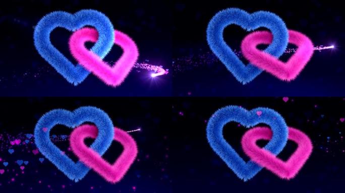 蓝色和粉红色的性别毛绒心脏在神奇的背景上翱翔，无缝循环