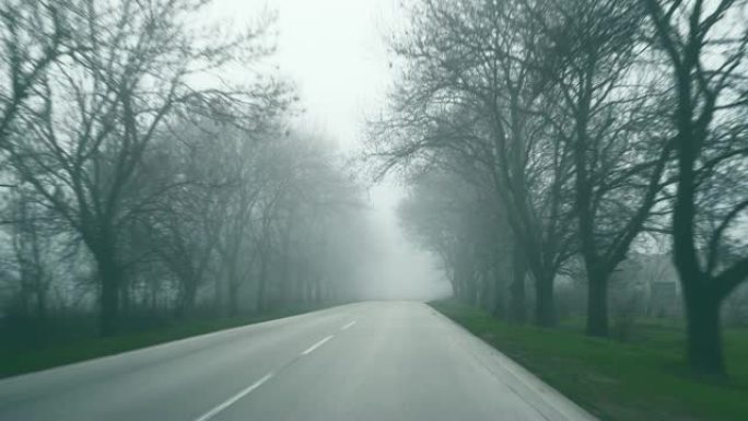 初春的道路景观。汽车在浓雾中沿着高速公路行驶。沥青路上生长着雾。两边都有树木的汽车的危险道路