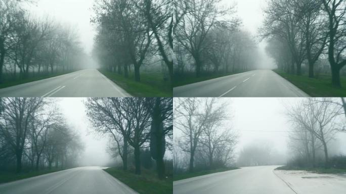 初春的道路景观。汽车在浓雾中沿着高速公路行驶。沥青路上生长着雾。两边都有树木的汽车的危险道路