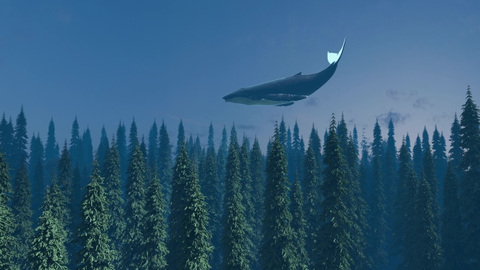 森林与鲸鱼 鲸鱼 遨游森林