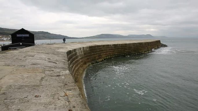科布莱姆里吉斯著名的海港墙英国多塞特