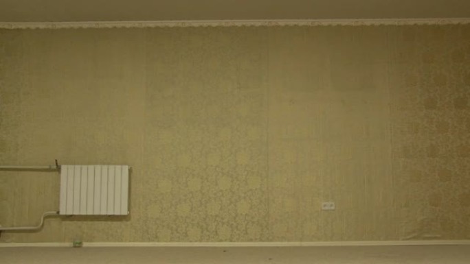 在一个空荡荡的没有家具的房间里，用复古风格的金色壁纸墙