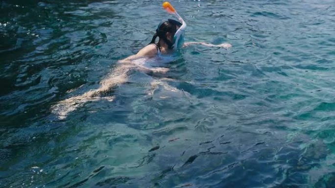 年轻女子在热带海域浮潜和用手机制作水下照片视频