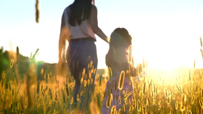 母亲ia的剪影在夏天与女儿在野外散步，牵手，家庭观念