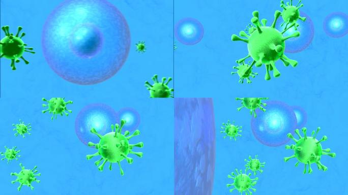 病毒感染细胞过程的3D动画。