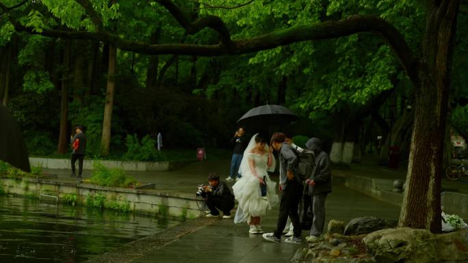 烟雨西湖游客游西湖人群