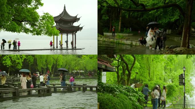 烟雨西湖游客游西湖人群