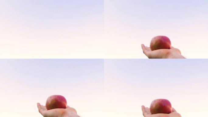 男性的手在天空上提供了一个苹果。男性手移除苹果本身