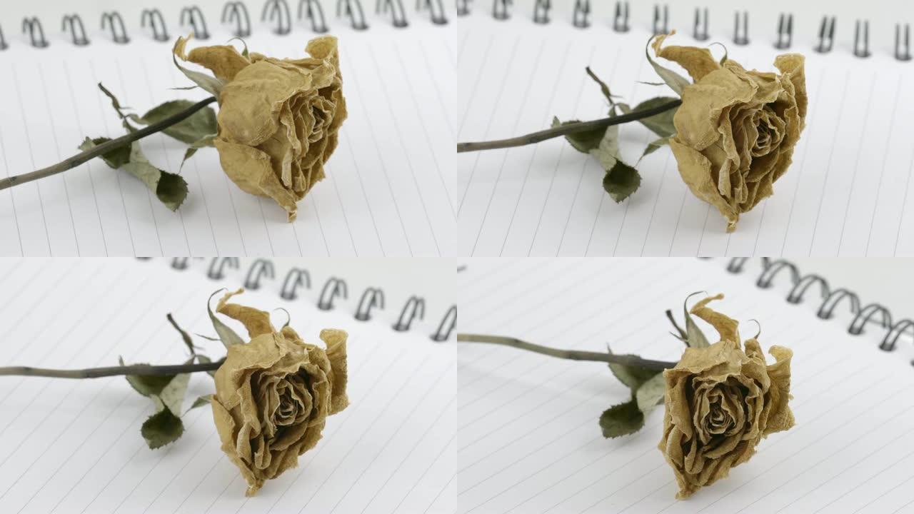 笔记本页面上的玫瑰干花