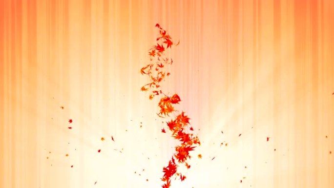 彩色枫树和树叶的漩涡。秋叶的螺旋闪亮颗粒。跳舞的叶子。多彩自然隧道循环动画。