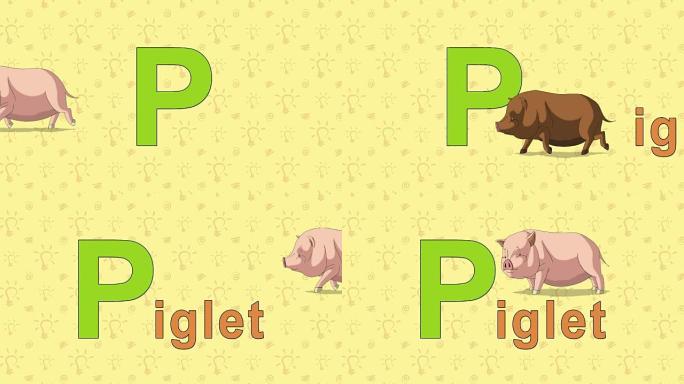 小猪。英语动物园字母-字母P