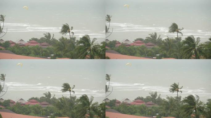 泰国海洋海岸帕布台风。自然灾害，眼墙飓风。强烈的极端旋风吹拂着棕榈树。热带洪涝雨季强热带风暴天气雷暴