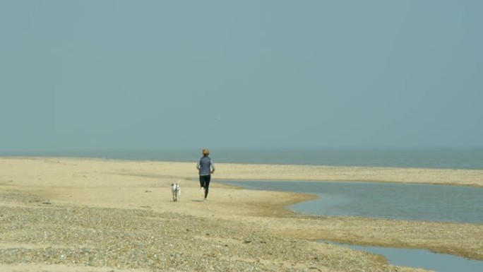 一个成年的成熟女人和她的达尔马提亚人在海岸跑步。