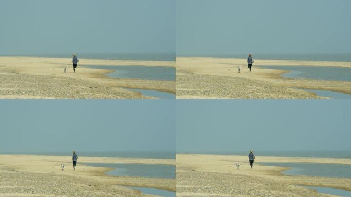 一个成年的成熟女人和她的达尔马提亚人在海岸跑步。