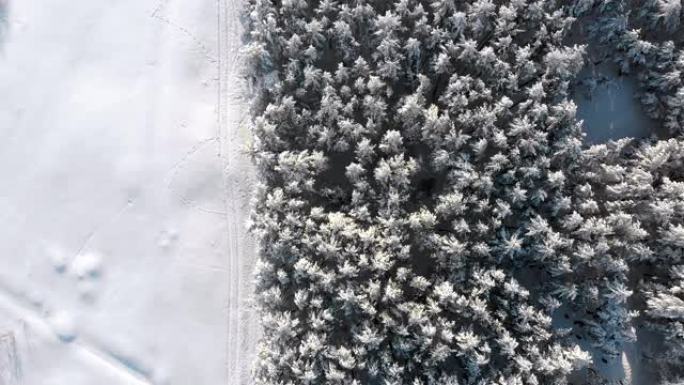 晴天冬季松树林和雪路的俯视图