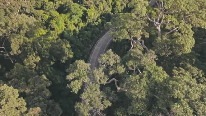 飞越东南亚的丛林。雨林中的汽车之路