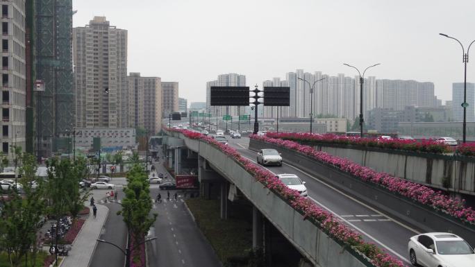 杭州 高架 花 秋石 匝道1