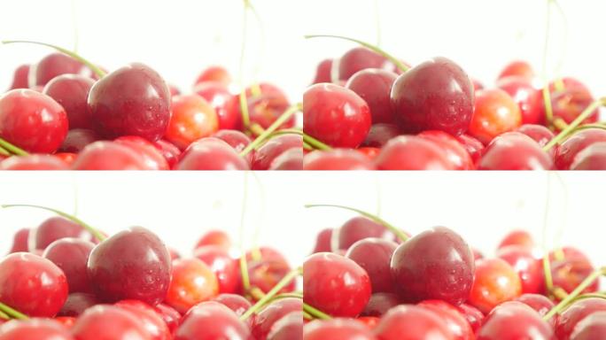 美味的有机樱桃水果背景4K 2160p超高清视频-白色背景4K 3840X2160 UHD镜头前排列