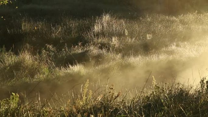 南非日出时在草原上飘雾的风景