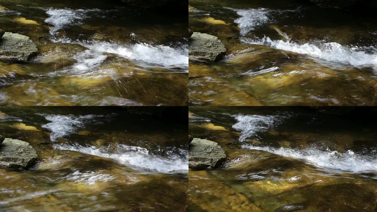鱼跳上Khao Chamao瀑布