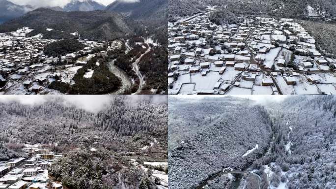 西藏自治区林芝市 错高村 航拍4K