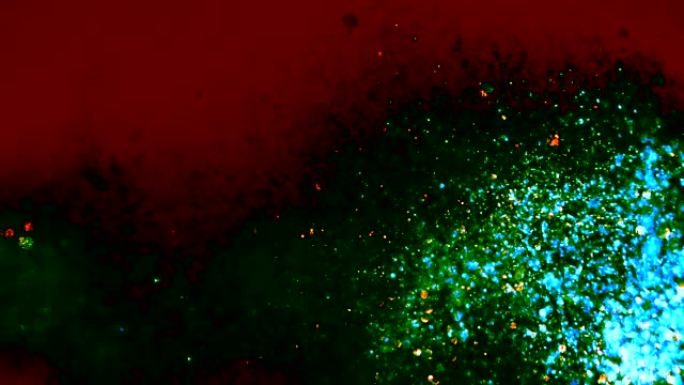 绿色/红色/蓝色散焦粒子背景。粒子不同运动的闪光系列。版本19