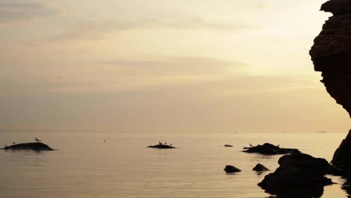 美丽的金色日落 (日出) 在海上，完全平静，飞翔的海鸥。