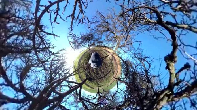 冬天的老苹果树与360度相机，VR360，VR，360VR，小星球效应