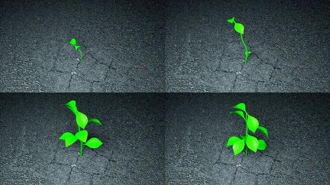 绿芽从土壤中出现，与新叶一起生长，3d渲染，生态创意