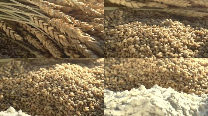 小麦、谷物和面粉的耳朵