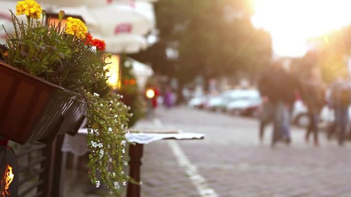 克拉科夫街道之一的咖啡馆外的带有美丽花朵的工具包