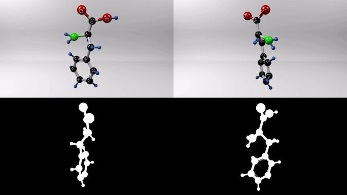 苯丙氨酸分子。