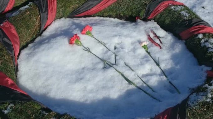 俄罗斯，圣彼得堡，2019年2月: Piskaryovskoye纪念公墓。坟墓上的鲜花。
