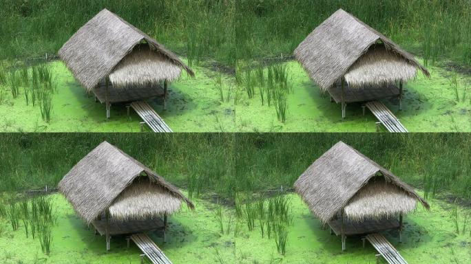 沼泽上的竹草小屋