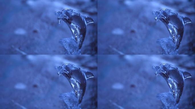 玻璃海豚水滴高清镜头